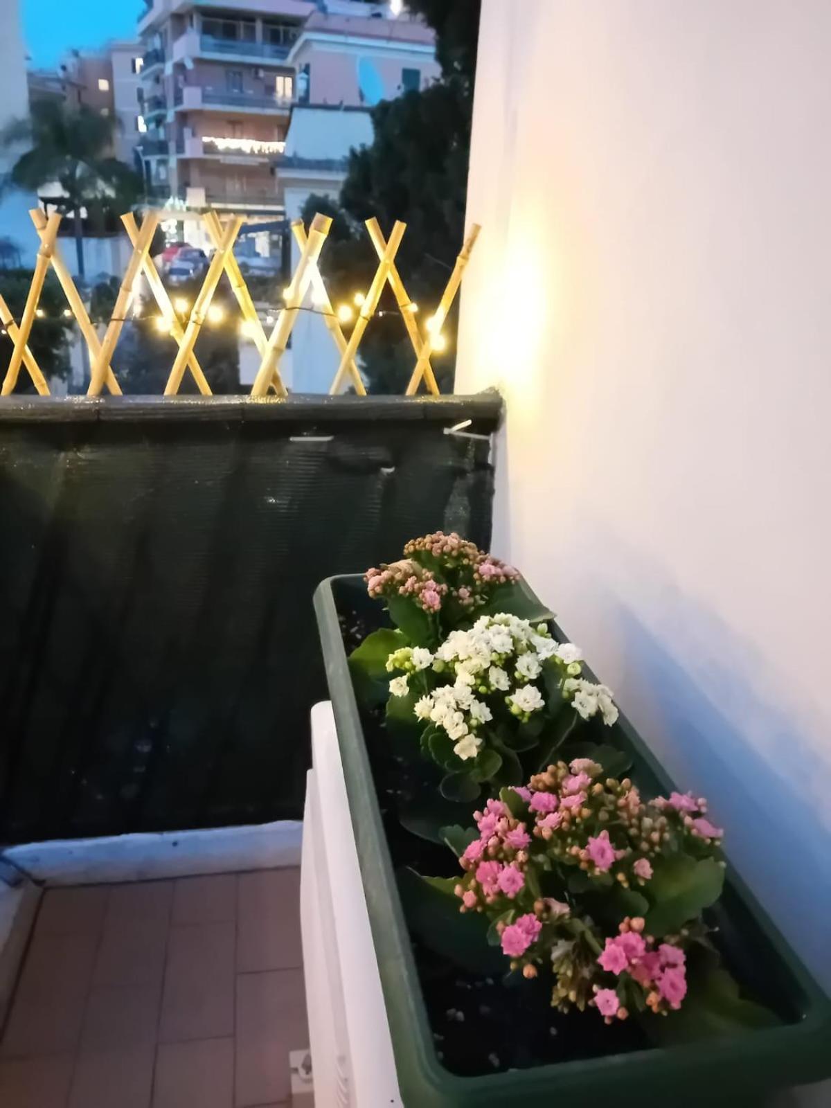 Appiolatino Il Geco Apartment *